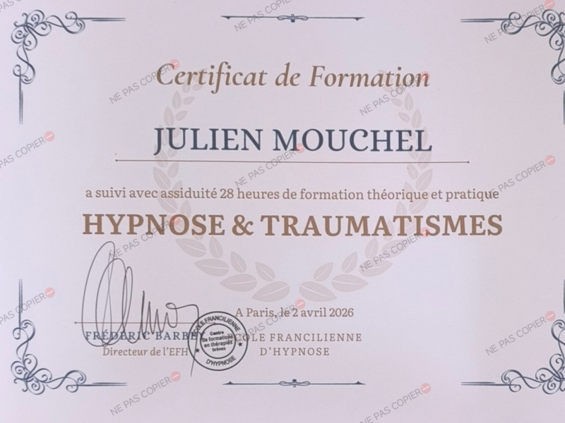 diplome Jmtherapeute SSPT